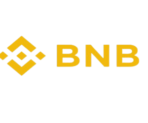 BNB OR USDT BEP20 NETWORK